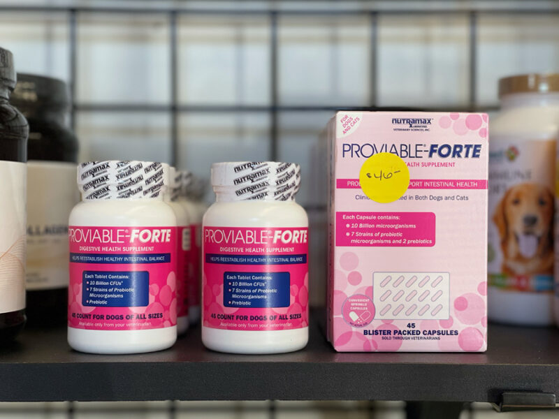 proviable-forte-sprinkle-capsules-wizard-of-paws-physical