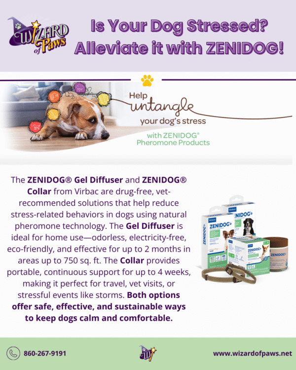 ZENIDOG® Gel Diffuser - Image 2