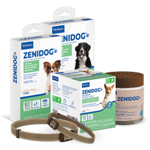 ZENIDOG® Long-Acting Collar